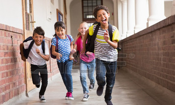 一键性能分析的DDOS网页端